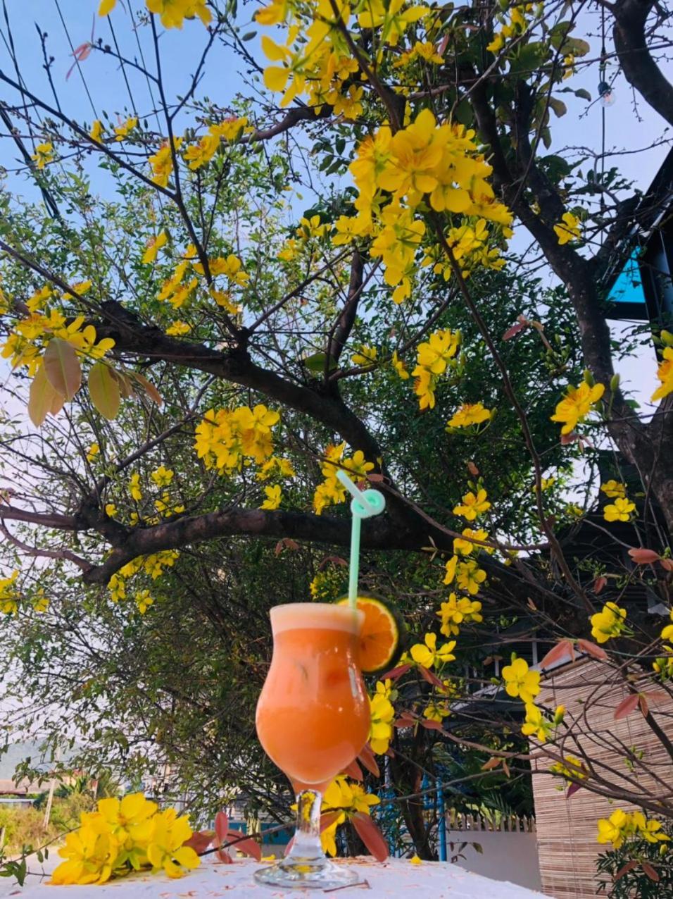 Sunrise Doc Let Guest House Ninh Hai District Екстериор снимка